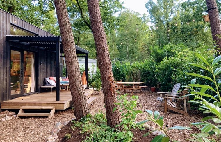 Unterkunft 200520 - Ferienhaus Zuidwest Drenthe - Huisje in Zuidwolde