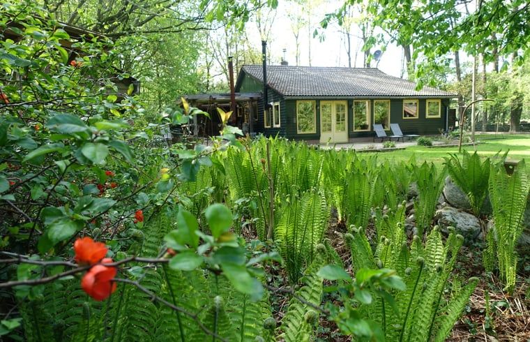 Huisje in Zuidwolde, een charmant vakantiehuis in Zuidwest Drenthe, omgeven door weelderige natuur en een serene tuin.