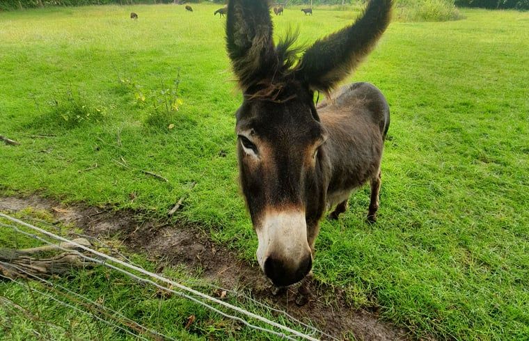 Verblijf 200523 - Vakantiewoning Zuidwest Drenthe - Huisje in Zuidwolde