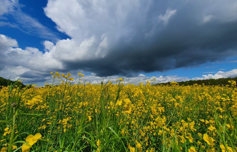 Verblijf 200523 - Vakantiewoning Zuidwest Drenthe - Huisje in Zuidwolde
