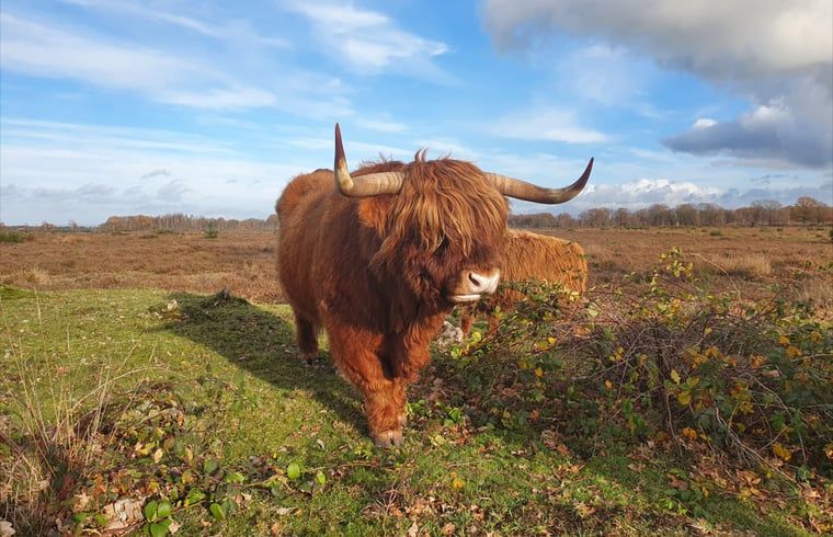 Verblijf 200523 - Vakantiewoning Zuidwest Drenthe - Huisje in Zuidwolde