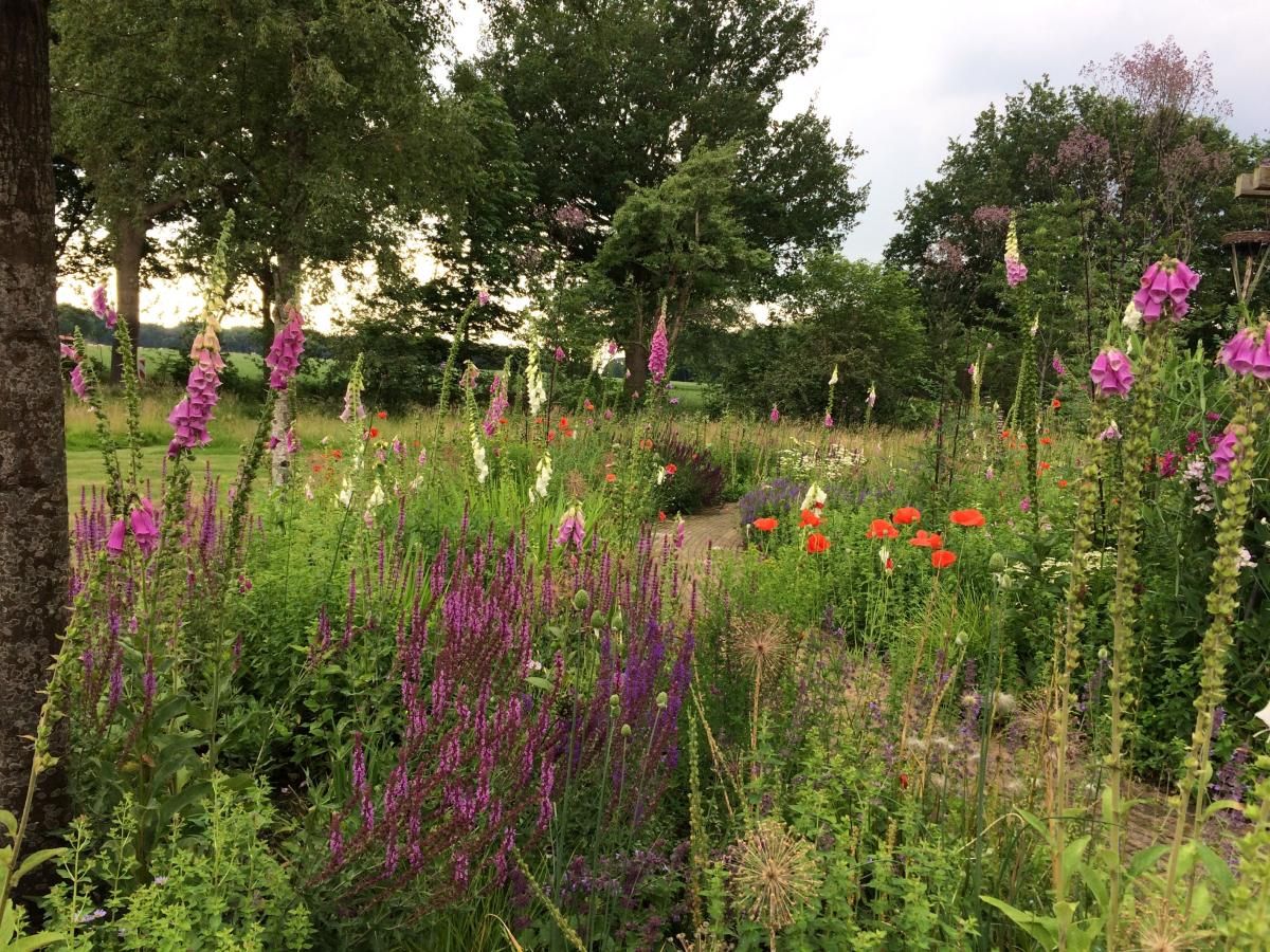 Unterkunft 200538 - Ferienhaus Zuidwest Drenthe - Vrijzicht