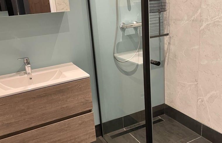 Stijlvolle badkamer in Huisje in Nieuweroord, vakantiehuis in Zuidwest Drenthe, met moderne douche en wastafel.