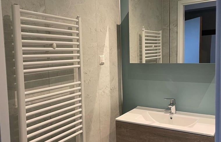 Luxe badkamer in Huisje in Nieuweroord, vakantiehuis in Zuidwest Drenthe, met ruime spiegel en handdoekradiator.