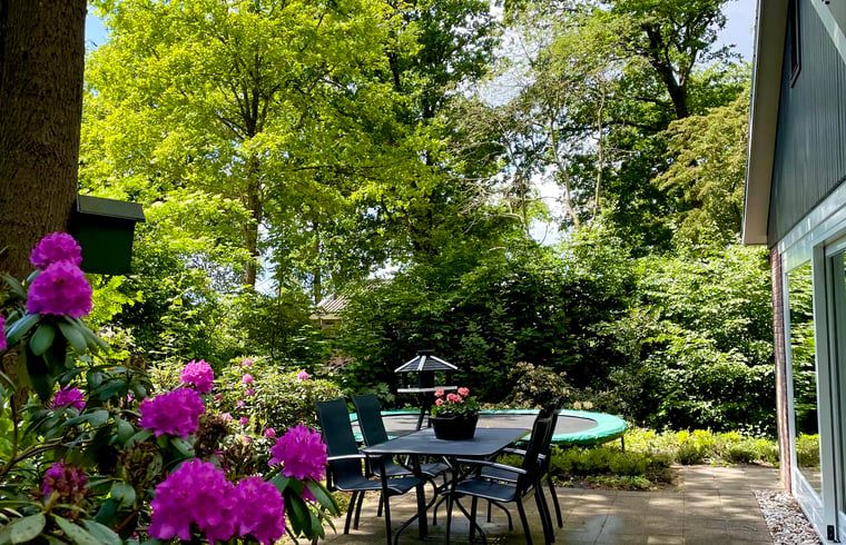 Buitenterras van Vakantiehuisje in Ruinen, Zuidwest Drenthe, met tuinmeubilair en prachtige bloemen.