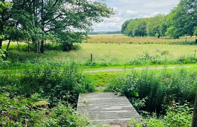 Landelijk uitzicht nabij Vakantiehuisje in Ruinen, Zuidwest Drenthe, met een schilderachtig pad.
