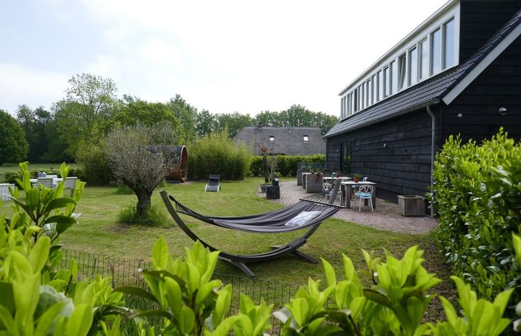 Entspannen Sie sich im Garten von Huisje in Ruinen, einem Ferienhaus im Suedwesten von Drenthe mit Haengematte und Terrasse inmitten gruener Natur.