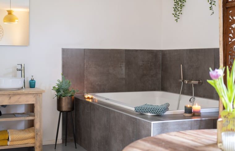 Luxurioeses Badezimmer in einem Ferienhaus in Ruinen, Suedwest-Drenthe. Entspannen Sie sich stilvoll in dieser komfortablen Ferienunterkunft inmitten der Natur.