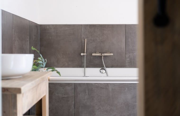 Unterkunft 200730 - Ferienhaus Zuidwest Drenthe - Huisje in Ruinen