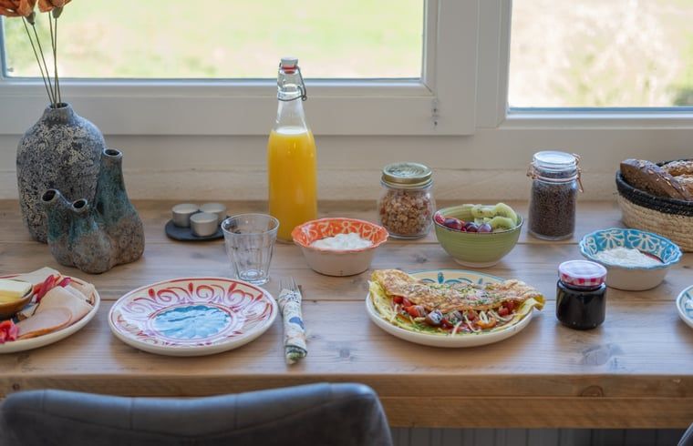 Unterkunft 200730 - Ferienhaus Zuidwest Drenthe - Huisje in Ruinen