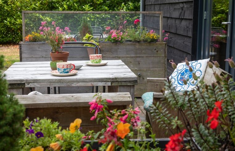 Unterkunft 200730 - Ferienhaus Zuidwest Drenthe - Huisje in Ruinen