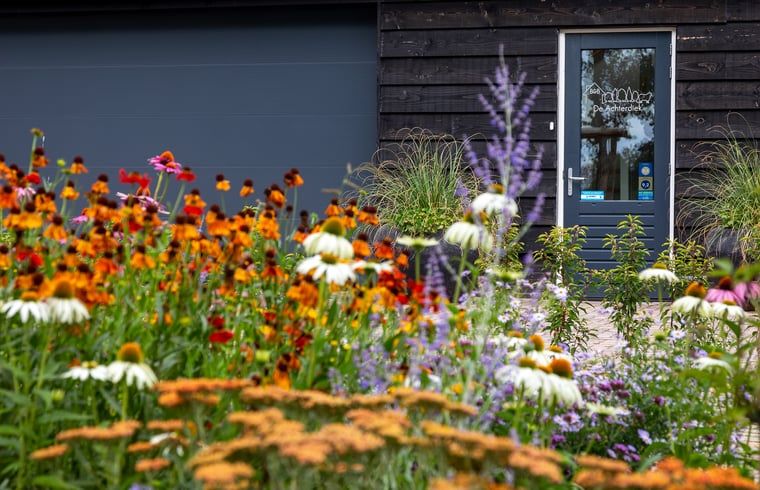 Unterkunft 200730 - Ferienhaus Zuidwest Drenthe - Huisje in Ruinen