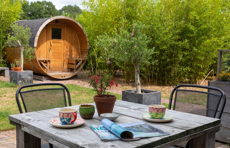 Unterkunft 200730 - Ferienhaus Zuidwest Drenthe - Huisje in Ruinen