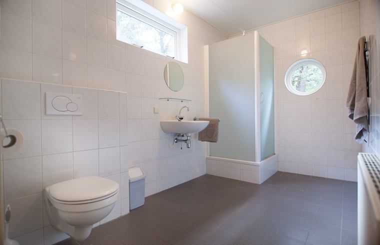 Modernes Badezimmer im Ferienhaus in Ruinen, Suedwest-Drenthe, mit geraeumiger Dusche und natuerlichem Licht fuer einen entspannten Aufenthalt.