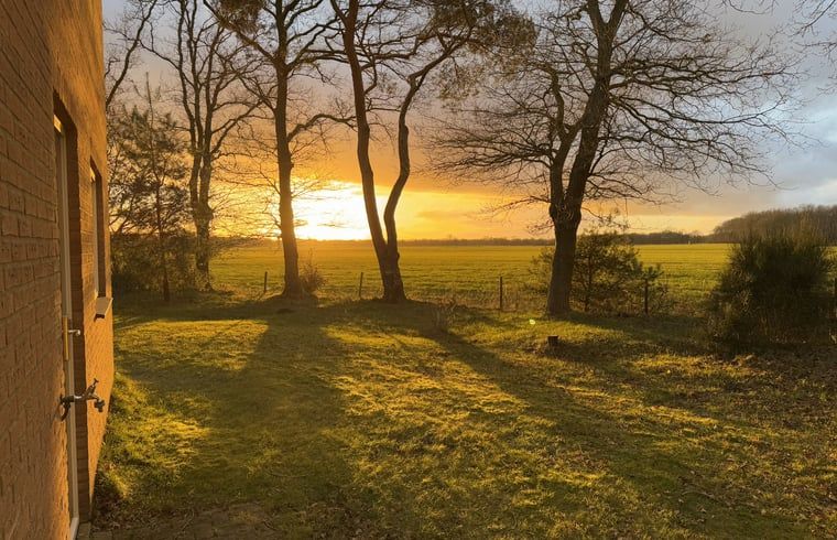 Unterkunft 200789 - Ferienhaus Zuidwest Drenthe - Vakantiehuis in Ruinen