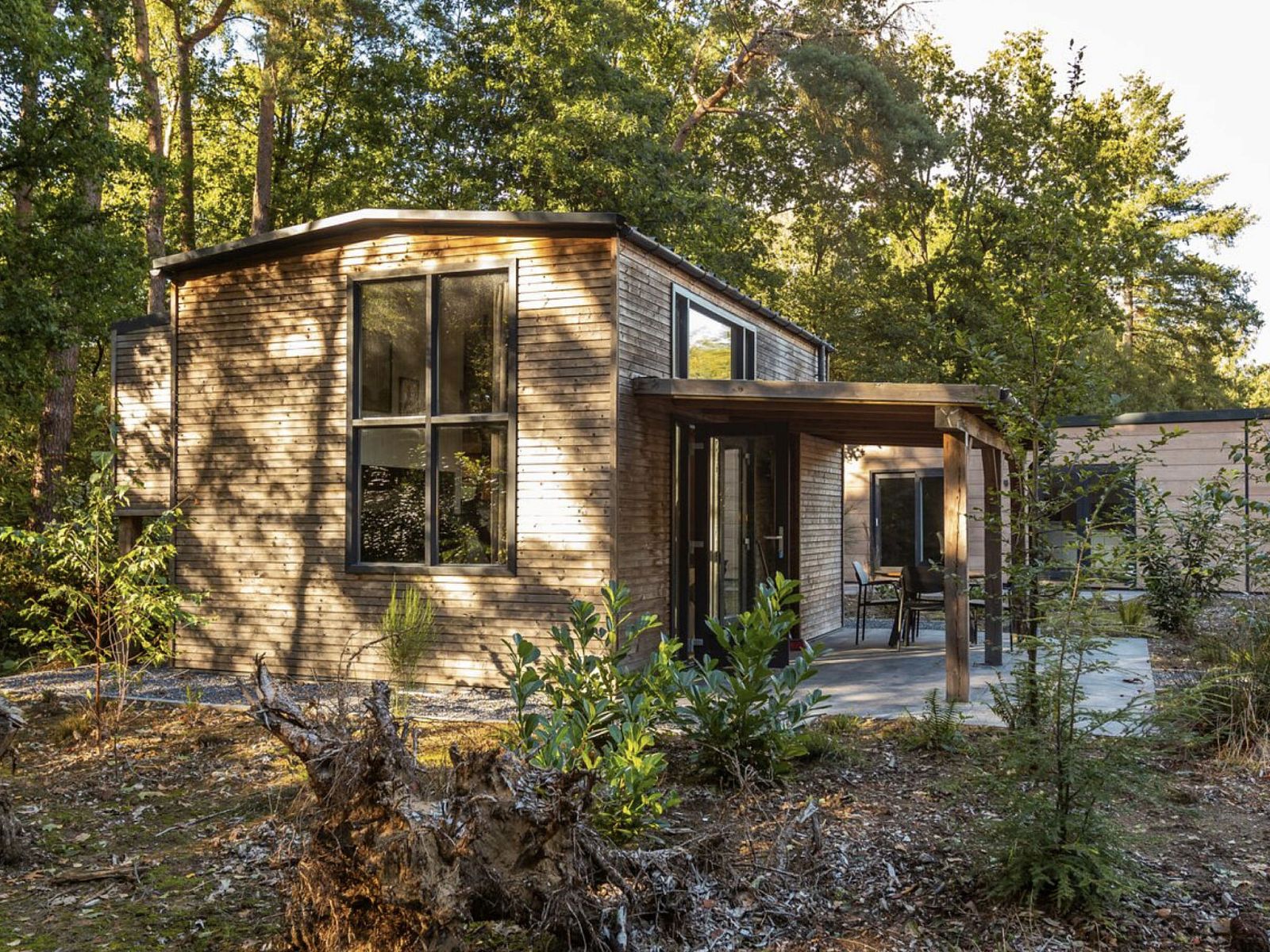 Guest house 200791 - Holiday property Zuidwest Drenthe - Vakantiehuis Vakantiepark De Wiltzangh - Tiny Borg 4p