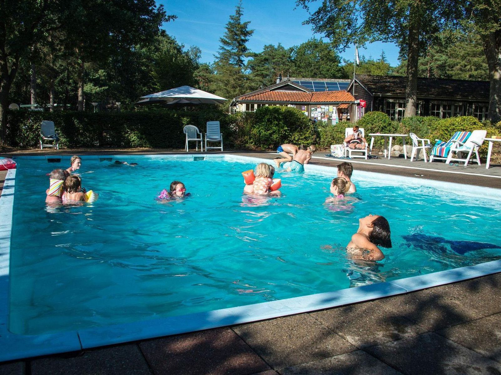 Guest house 200795 - Holiday property Zuidwest Drenthe - Vakantiehuis Vakantiepark De Wiltzangh - Houtenborg Lodge 4p