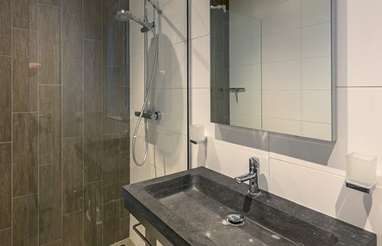 Moderne badkamer in Huisje in Wapserveen, vakantiehuis in Drenthe met luxe voorzieningen.