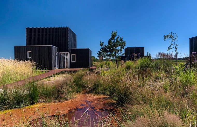 Huisje in Wapserveen met wandelpad en natuur, vakantiehuis in Zuidwest Drenthe, Drenthe.
