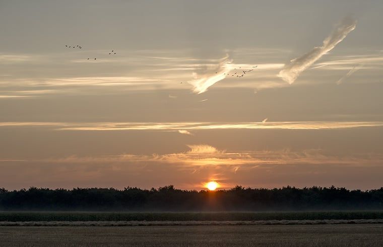Prachtige zonsondergang bij Huisje in Wapserveen, vakantiehuis in Zuidwest Drenthe, Drenthe.