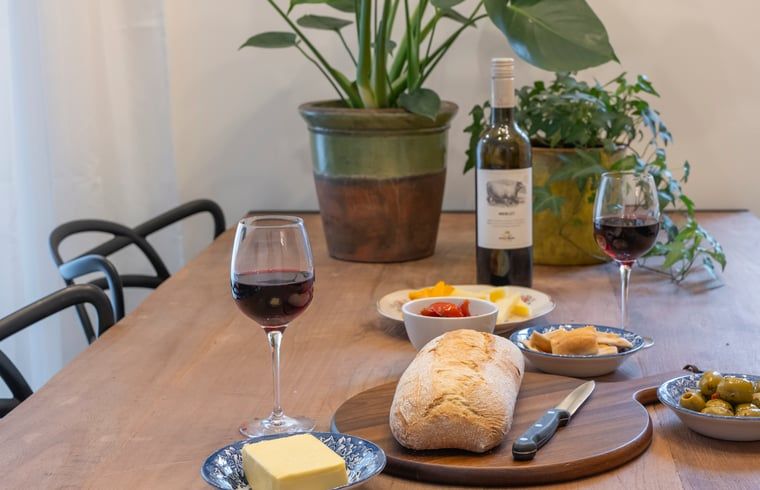 Moderne zithoek in Vakantiehuisje in Dwingeloo, Zuidwest Drenthe, met comfortabele stoelen en groene planten.