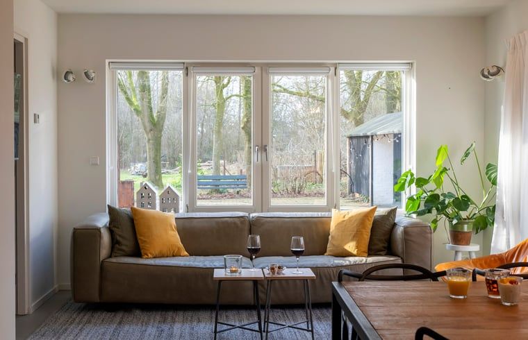 Gezellige woonkamer in Vakantiehuisje in Dwingeloo, Drenthe, met uitzicht op de natuurrijke omgeving.