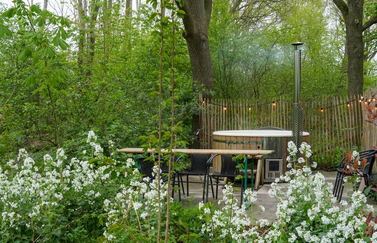 Moderne keuken in Vakantiehuisje in Dwingeloo, Zuidwest Drenthe, met eethoek en kunst aan de muur.