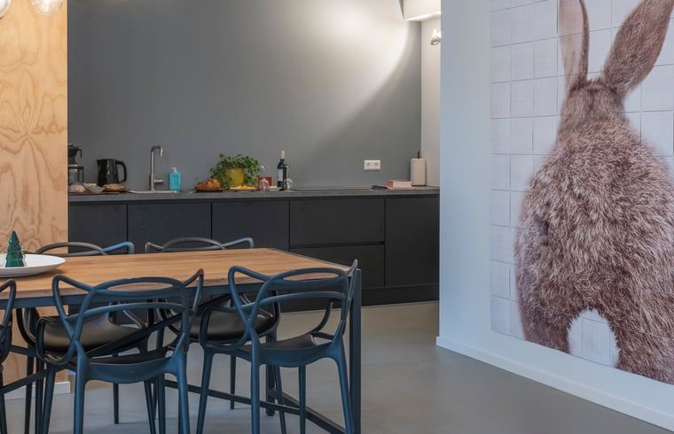 Volledig uitgeruste keuken in Vakantiehuisje in Dwingeloo, Drenthe, met moderne apparatuur.