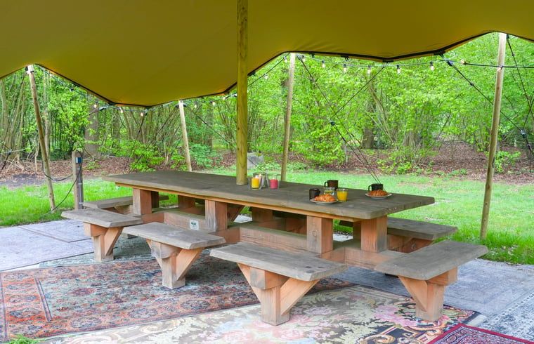 Overdekte picknickplek met verlichting bij Vakantiehuisje in Dwingeloo, Drenthe, ideaal voor buiteneten.