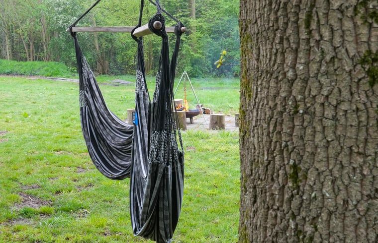 Hangmat in de tuin van Vakantiehuisje in Dwingeloo, Zuidwest Drenthe, voor ontspanning in de natuur.