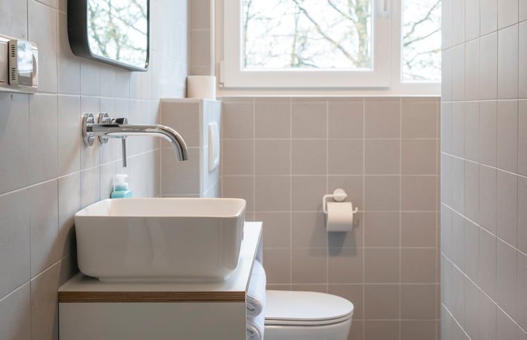 Stijlvolle badkamer in Vakantiehuisje in Dwingeloo, Zuidwest Drenthe, met moderne wastafel en toilet.