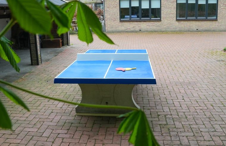 Tafeltennistafel in de buitenruimte van Vakantiehuisje in Dwingeloo, Drenthe, voor sportieve ontspanning.