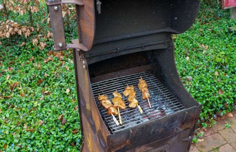 Barbecue met gegrilde spiesjes bij Vakantiehuisje in Dwingeloo, Zuidwest Drenthe, voor heerlijke maaltijden.
