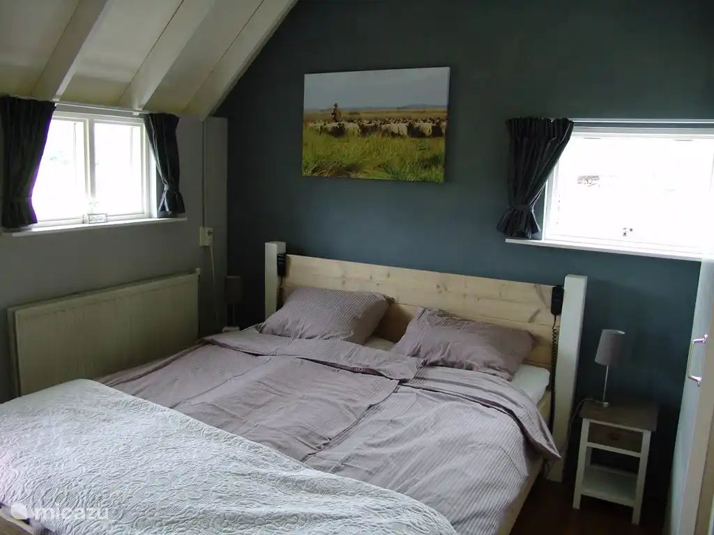 Guest house 2012127 - Holiday property Zuidwest Drenthe - 't Heerlijke huisje aan de wei