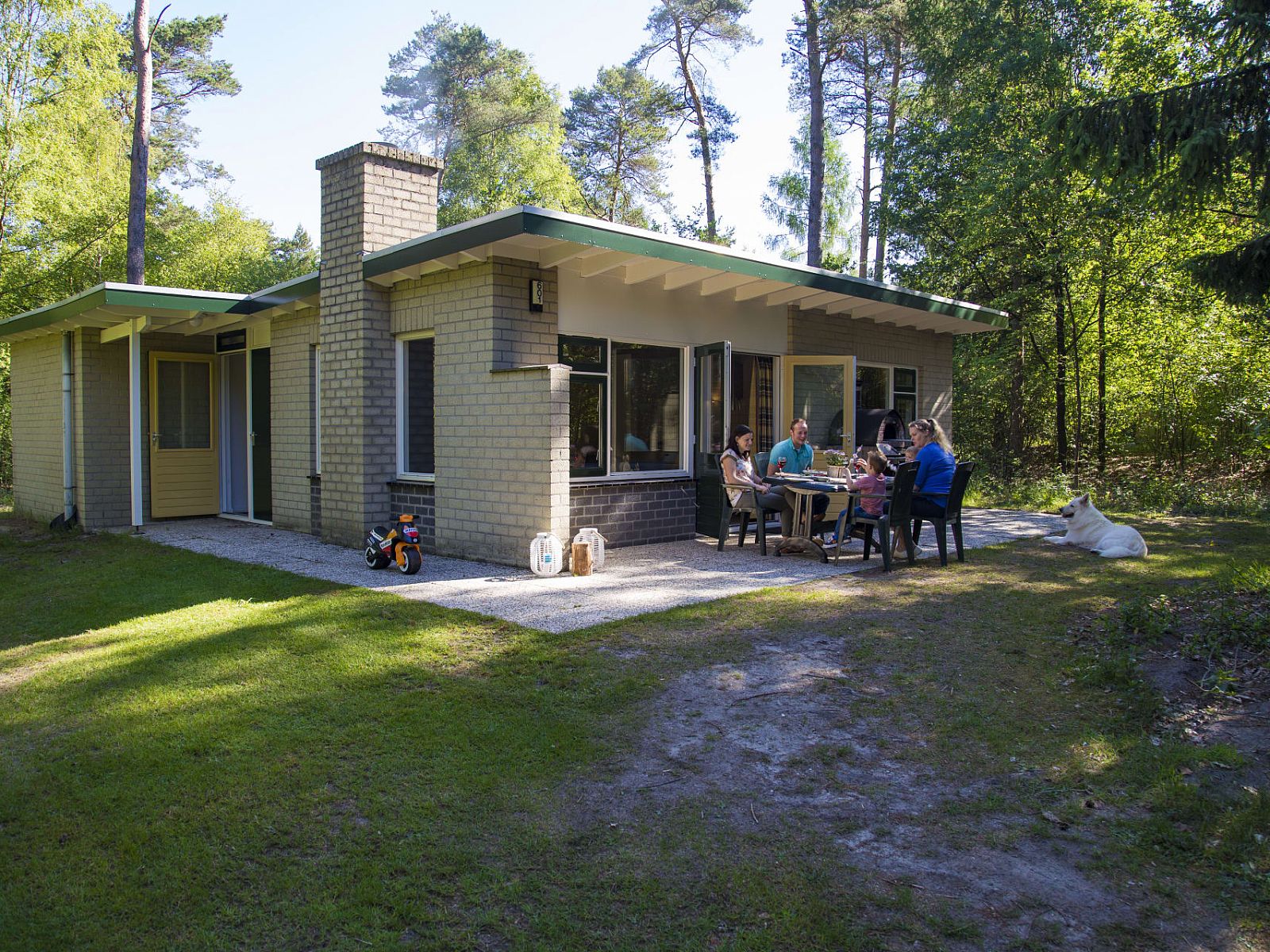 Geniet van de rust bij Bungalow Maan, een vakantiehuis in Dwingeloo, Drenthe, met een ruim terras midden in de natuur.