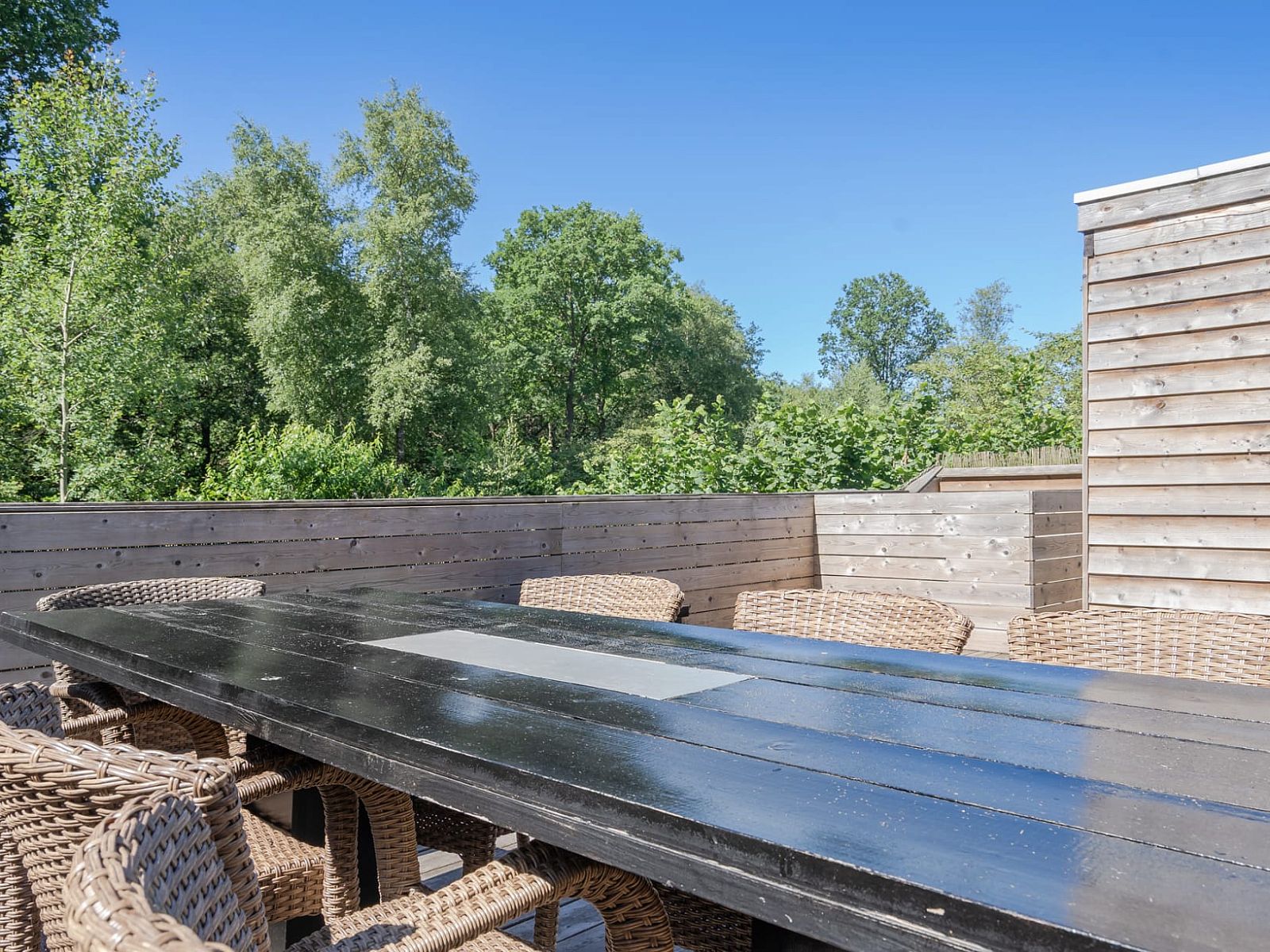 Enjoy the natural surroundings on the spacious terrace of Heidelodge, a vacation home in Dwingeloo, Southwest Drenthe.