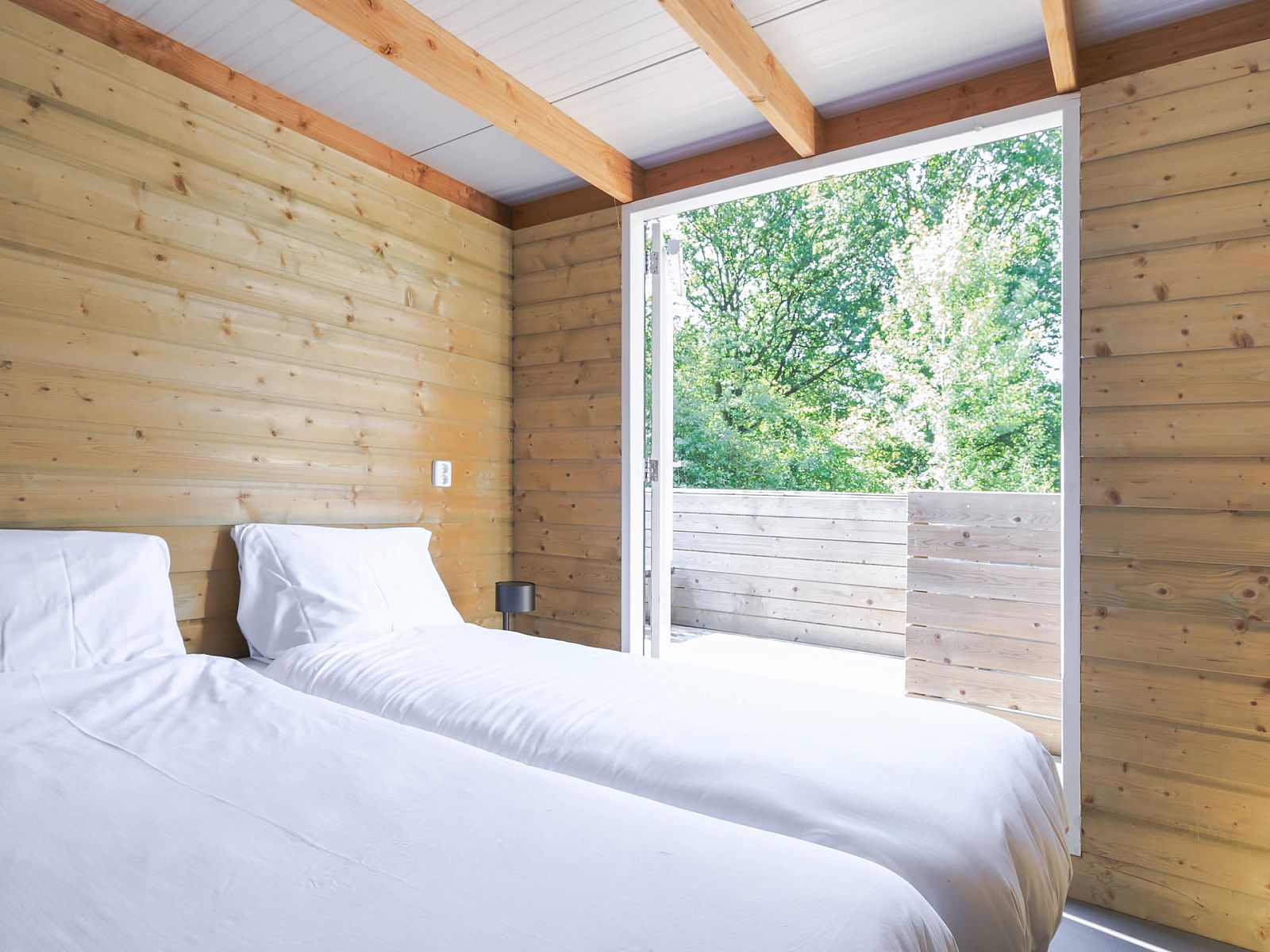 Guest house 201222 - Holiday property Zuidwest Drenthe - Heidelodge