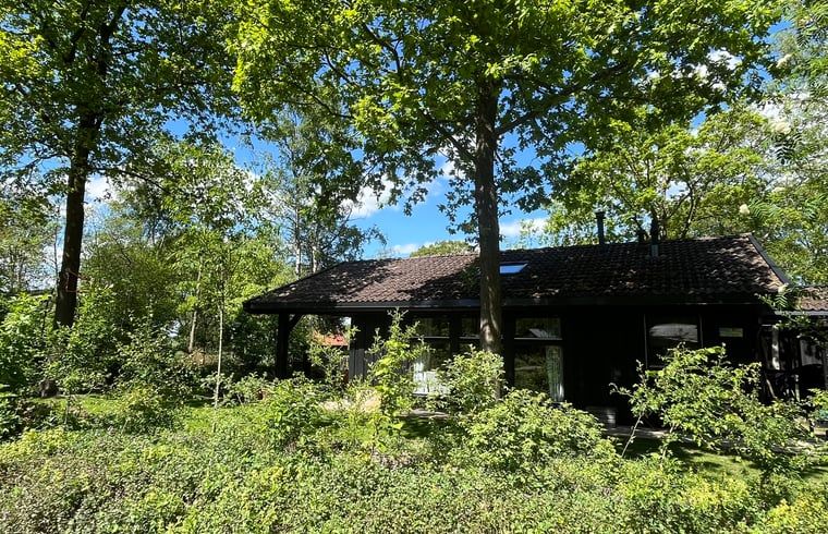 Huisje in Dwingeloo, vakantiehuis omringd door groen in Zuidwest Drenthe.