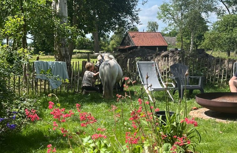 Landelijke tuin bij Huisje in Dwingeloo, vakantiehuis in Zuidwest Drenthe.