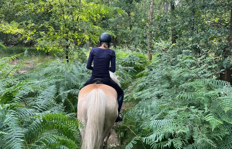 Paardrijden in de natuur rondom Huisje in Dwingeloo, vakantiehuis Drenthe.