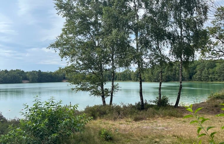 Bomen en meer in de buurt van Huisje in Dwingeloo, vakantiehuis Drenthe.