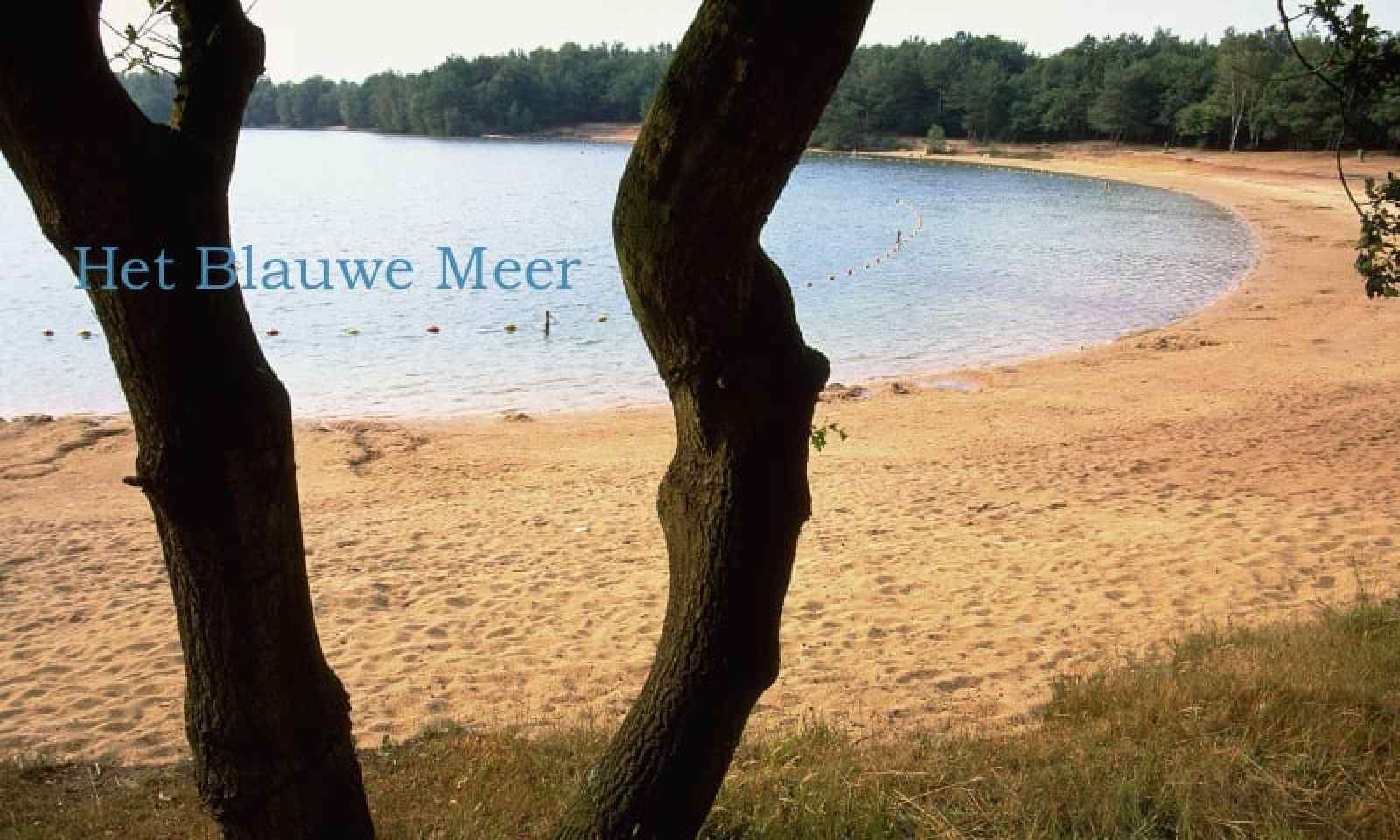 Unterkunft 201272 - Ferienhaus Zuidwest Drenthe - DG1584