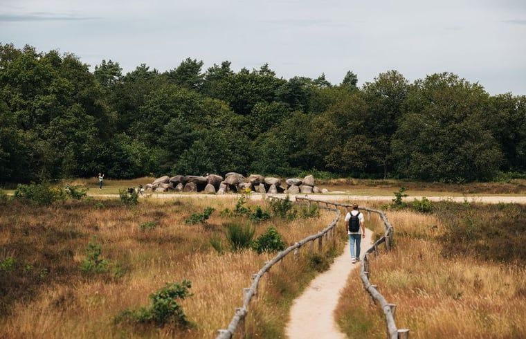 Mysterioeser Morgennebel ueber der Landschaft in der Naehe eines Ferienhauses in Dwingeloo, Suedwest-Drenthe.