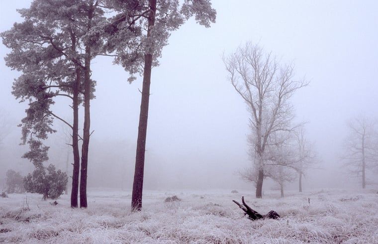 Fahrradroutenkarte in der Naehe des Ferienhauses in Dwingeloo, Suedwest-Drenthe, ideal fuer Fahrradliebhaber.