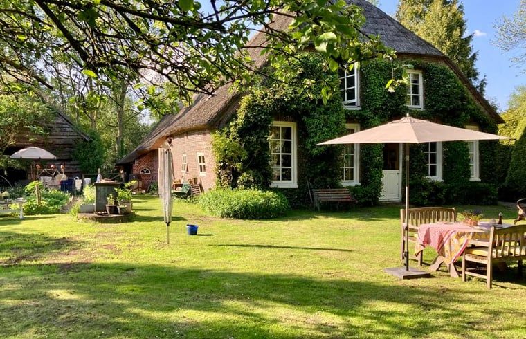 Garten mit Terrasse im Holiday home in Ruinerwold, einem charmanten Ferienhaus in Drenthe.