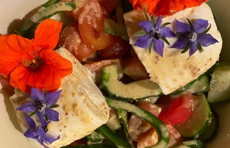 Frischer Salat mit essbaren Blumen im Ferienhaus in Ruinerwold, Suedwest-Drenthe.