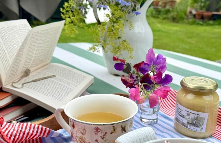 Tee und Blumen auf der Terrasse des Ferienhauses in Ruinerwold, Suedwest-Drenthe.