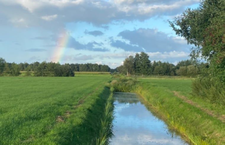 Schoene Aussicht auf die Landschaft im Ferienhaus in Ruinerwold, Suedwest-Drenthe.