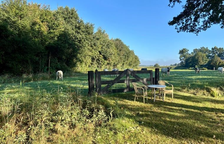 Unterkunft 201409 - Ferienhaus Zuidwest Drenthe - Vakantiehuis in Ruinerwold