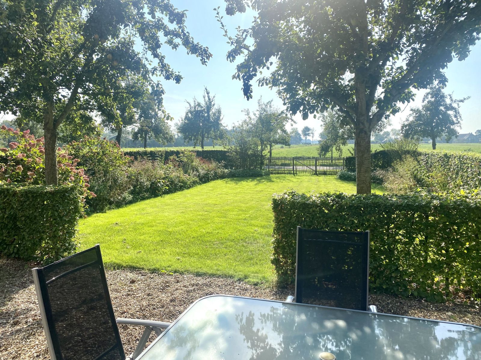 Geniet van de serene tuin en groene omgeving van vakantiehuis DG2051 in Ruinerwold, Zuidwest Drenthe, perfect voor natuurliefhebbers.